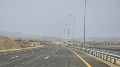 صور