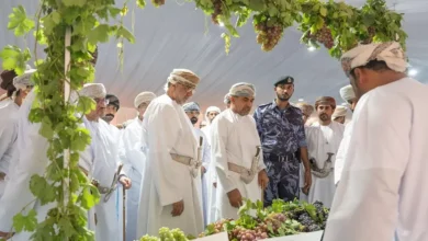 مهرجان