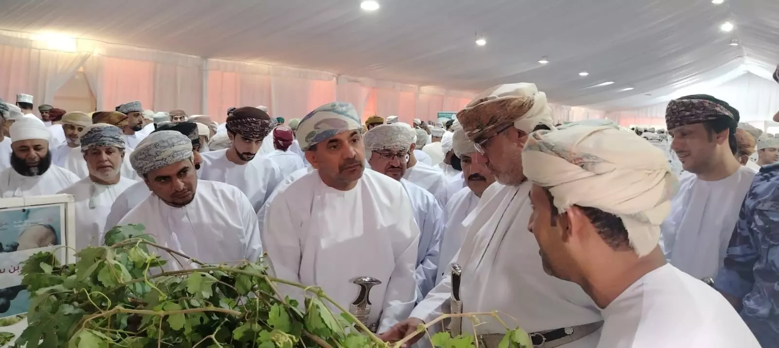 مهرجان