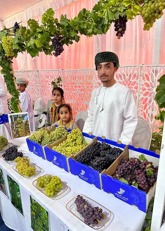 مهرجان