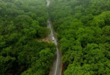 مزارع