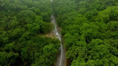 مزارع