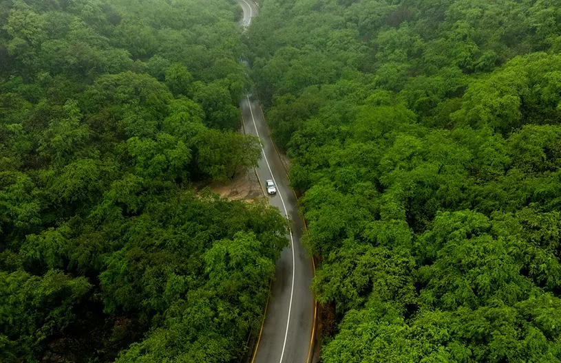 مزارع