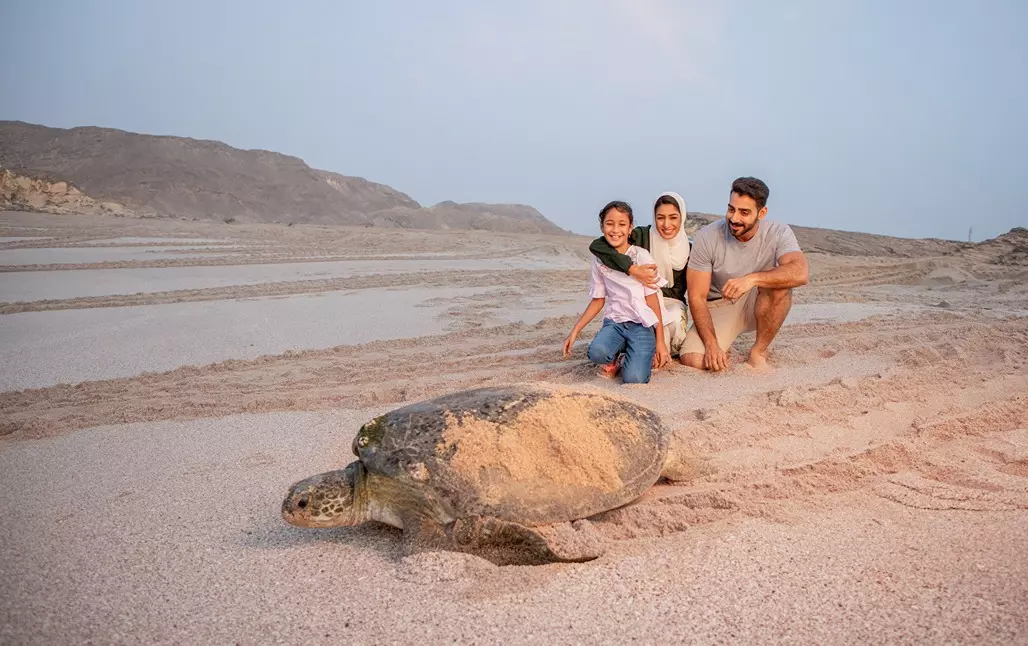 مجموعة