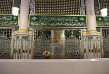 الذي