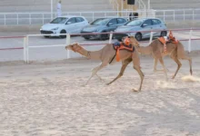 مهرجان