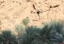 جهود