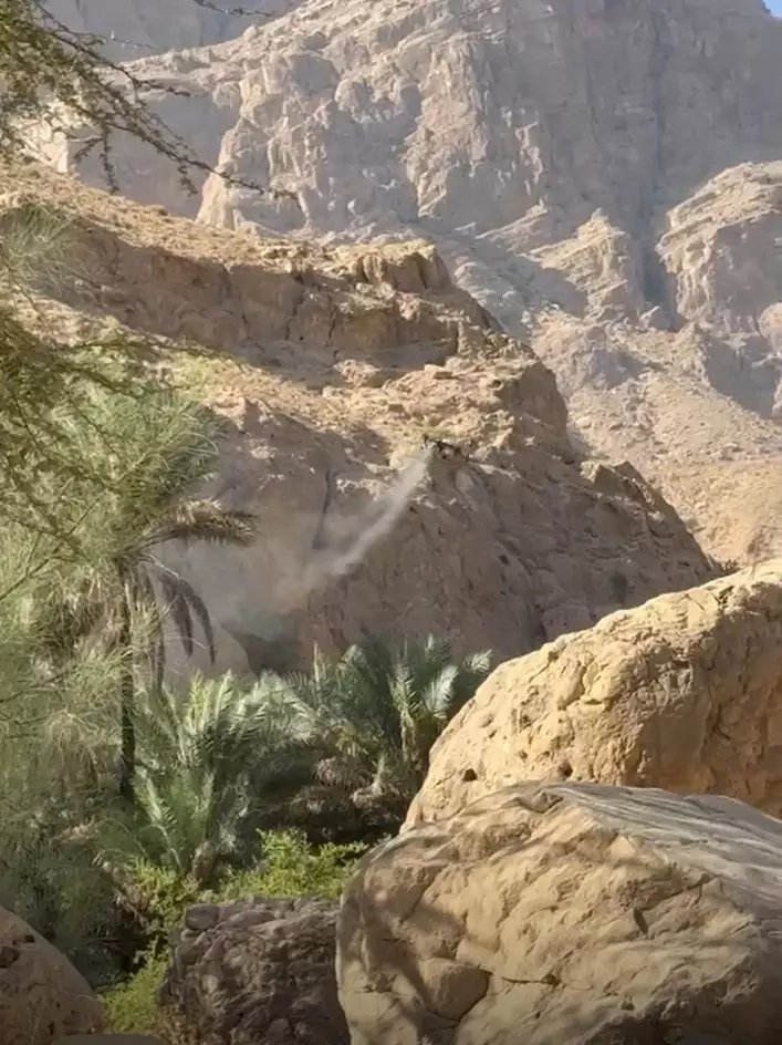 جهود