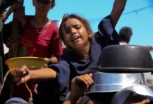 أطفال في غزة بدون غذاء