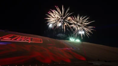 مهرجان ليوا الدولي 2026