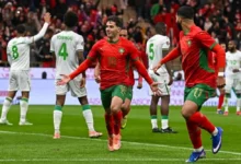 أسود الأطلس