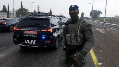 عملية بيسان