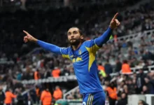 دومينيك كالفيرت لوين