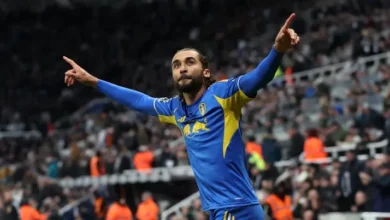 دومينيك كالفيرت لوين