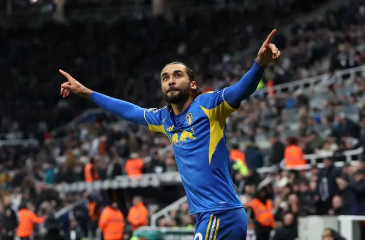 دومينيك كالفيرت لوين