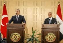 وزير الخارجية المصري ووزير الخارجية التركي