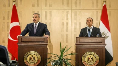 وزير الخارجية المصري ووزير الخارجية التركي