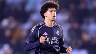 إنزو ألفيس نجل مارسيلو