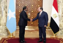 رئيس مصر السيسي ورئيس الصومال