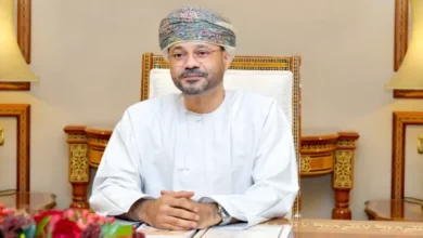 الدبلوماسية