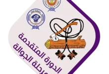 الدورة