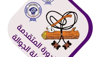 الدورة