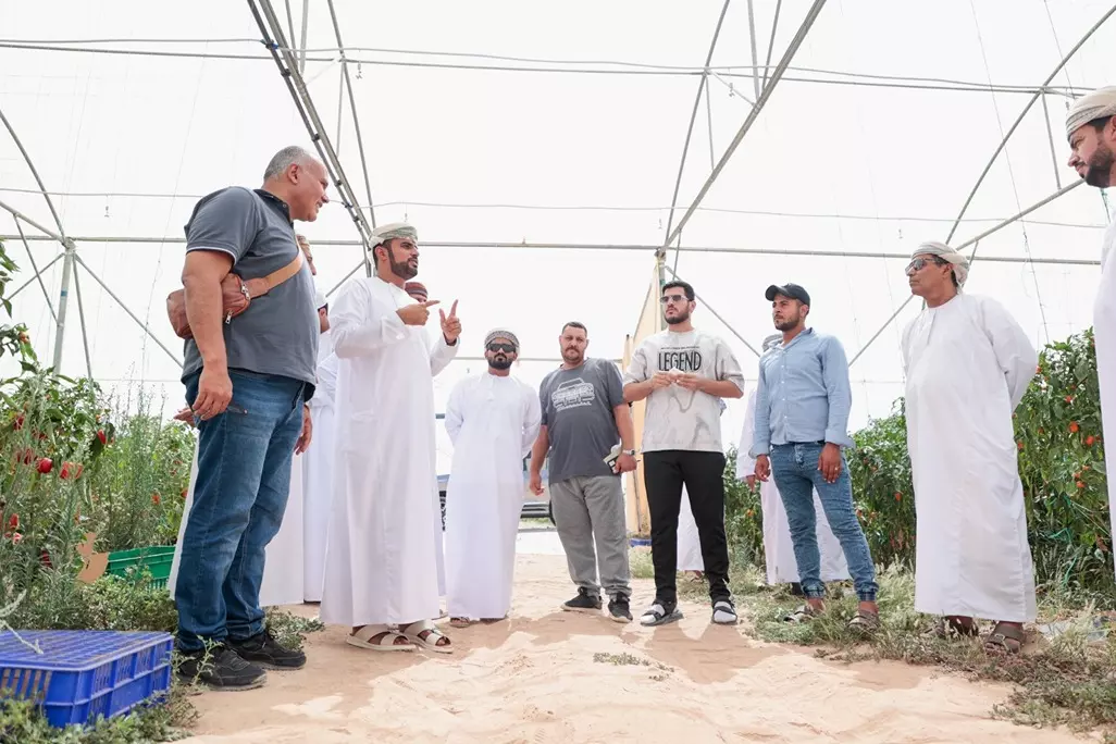 كفاءة
