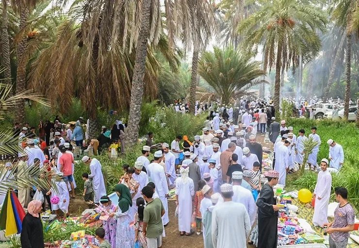 الرد