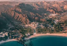 مشروع