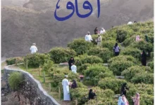 جامعة