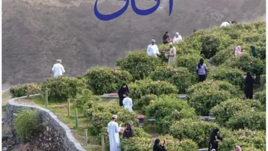 جامعة
