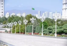 نمو