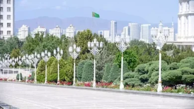 نمو
