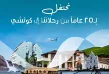 الطيران