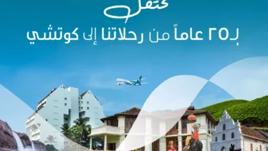 الطيران