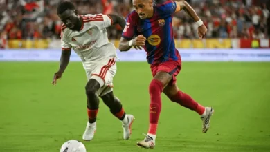 رافينيا