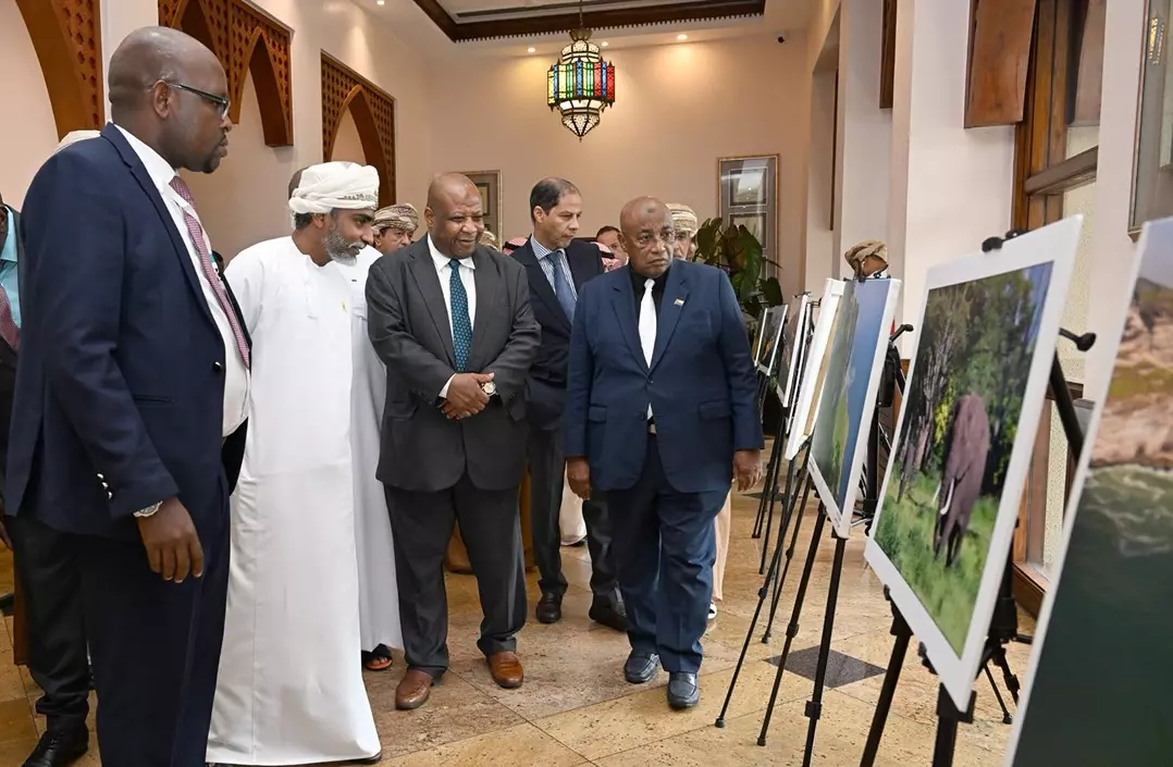 التاريخ